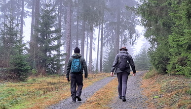 &bdquo;Aufstehen und losgehen&ldquo;: Wanderung f&uuml;r die Demokratie &ndash; sieben Tage zwischen Wald und Diskussion