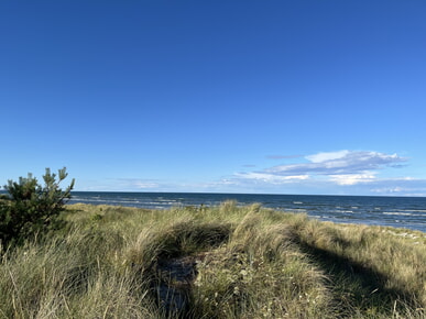 Freizeiten sind unterwegs: &bdquo;Da kommt Urlaubsfeeling auf. Weiter Blick, weites Meer.&ldquo;