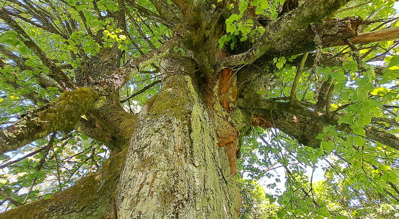 Andacht und Termine