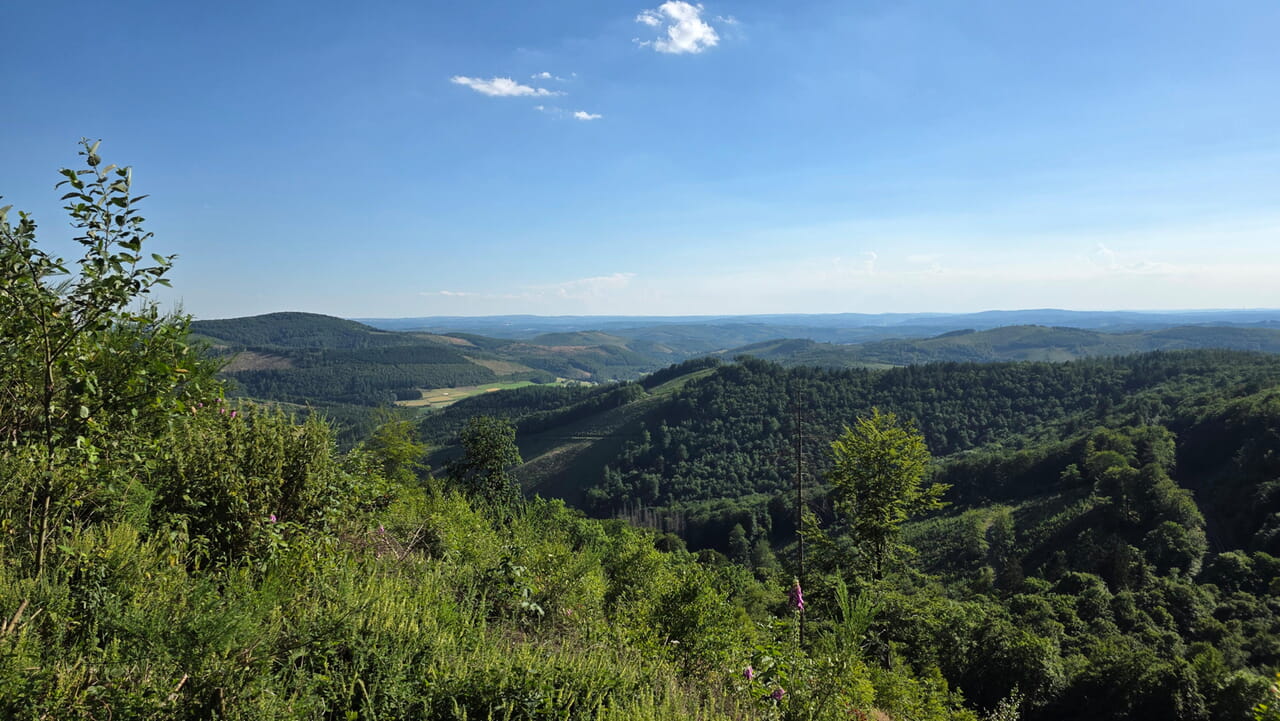 Der Umweltausschuss des Evangelischen Kirchenkreises Siegen-Wittgenstein war im Wald unterwegs und hatte dabei den Fokus auf den Klimaschutz gelegt.