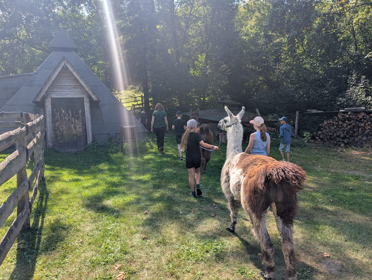 Immer wieder gerne angenommen werden die Begegnungen mit den Lamas im Abenteuerdorf.