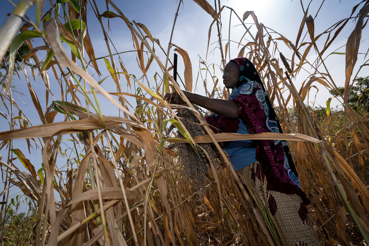 Afrika ist eine Schwerpunktregion der Hilfsprojekte von „Brot für die Welt“: Das Bild stammt aus einem Projekt mit Kleinbauern in Burkina Faso.