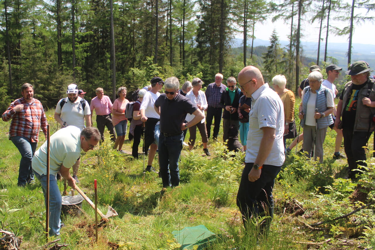 Im Anschluss an den Gottesdienst wurden vom Kreuztaler Waldgenossenschafts-Vorsitzenden Martin Werner sowie Pfarrerin und Pfarrern links und rechts vom Kindelsbergpfad je zwei Zirben gepflanzt: für jede der Kirchengemeinden Buschhütten, Ferndorf, Kreuztal und Krombach einen.